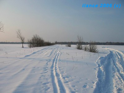 Начало дороги у деревни Наволок. Фото: Марина Егорова